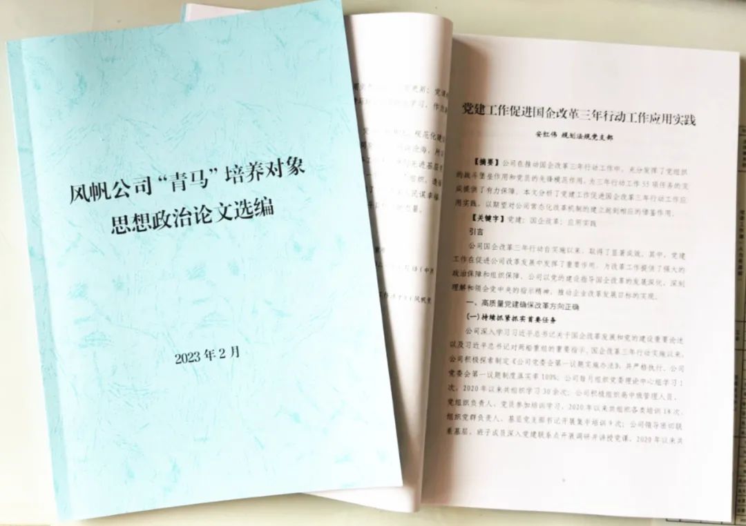 中國船舶風帆公司“青馬”思政研究結(jié)碩果